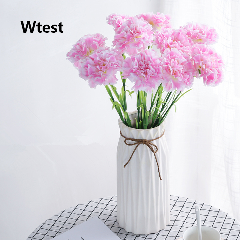 Wtest Carnation flower