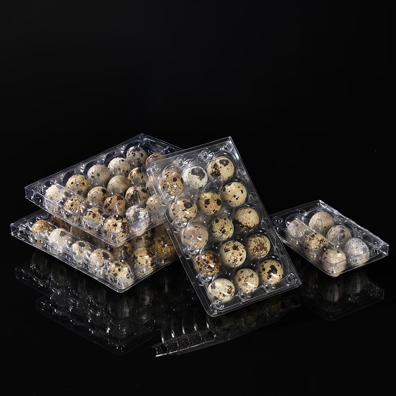 6/12/ 15/18/20/24/30 Quail/Jumbo/Pigeon Eggs PET Tray with lid snap fastener Factory price egg boxes Plastic container for egg