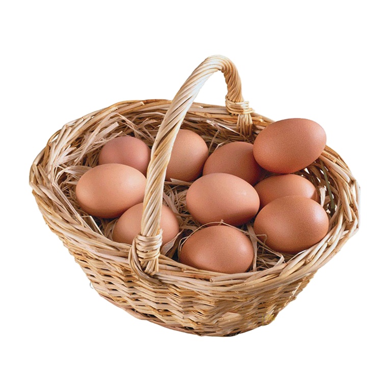 20pcs/Pack Chicken Eggs 5.5*4cm Farm Animal Supplies Cages Accessories Guide Chicken nest Egg Kids Toys Painting