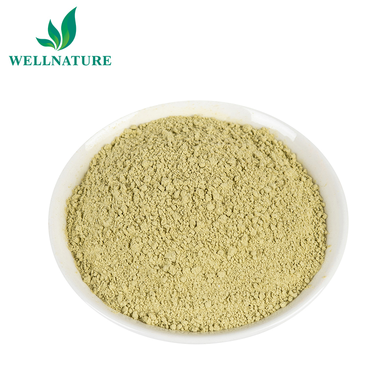 Feed Additive Moringa Leaf Powder Extract Moringa seed Extract Powder