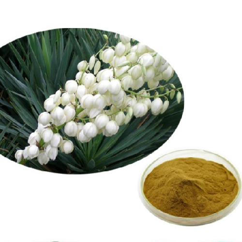 Натуральный Растительный Экстракт Yucca schidigera 30%-60% порошок сапонина Yucca