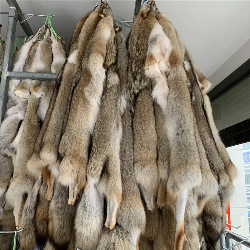 High quality natural Coyote fur skin pelt Animal fur wholesale