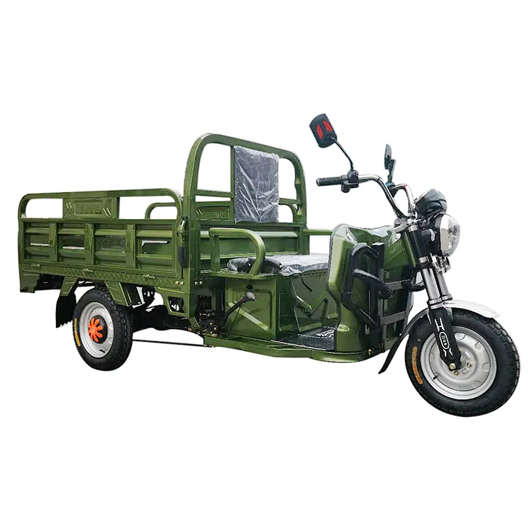 Hot Selling Bicycle Cargo Elektrikli Bisiklet 3 Teker Turkey 60V E 1000W Electric Tricycle for Adults