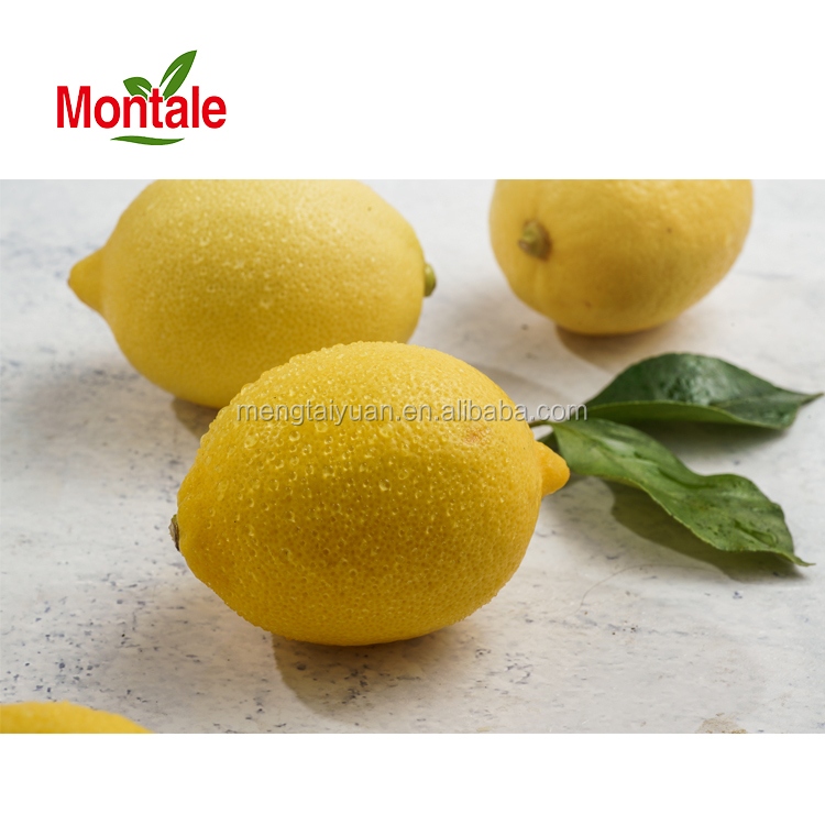 Montale OEM ODM 21 год высокое питание фермы свежий лимон цена