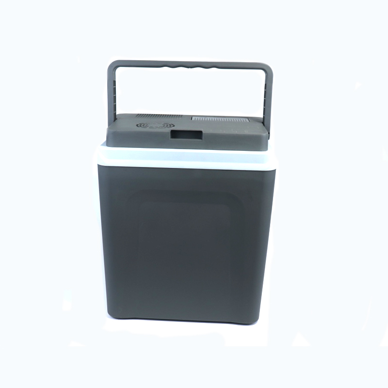 Custom cheap price mini deep freezer DC AC 8l room portable small micro freezer