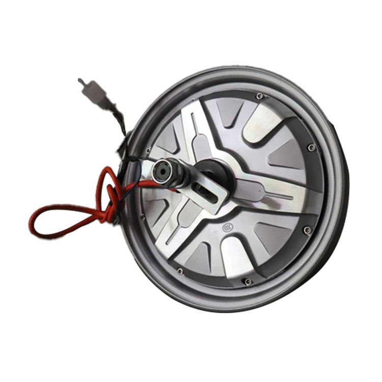 Factory Direct Sale High Grade 3000W 12 Inch Hub Motor