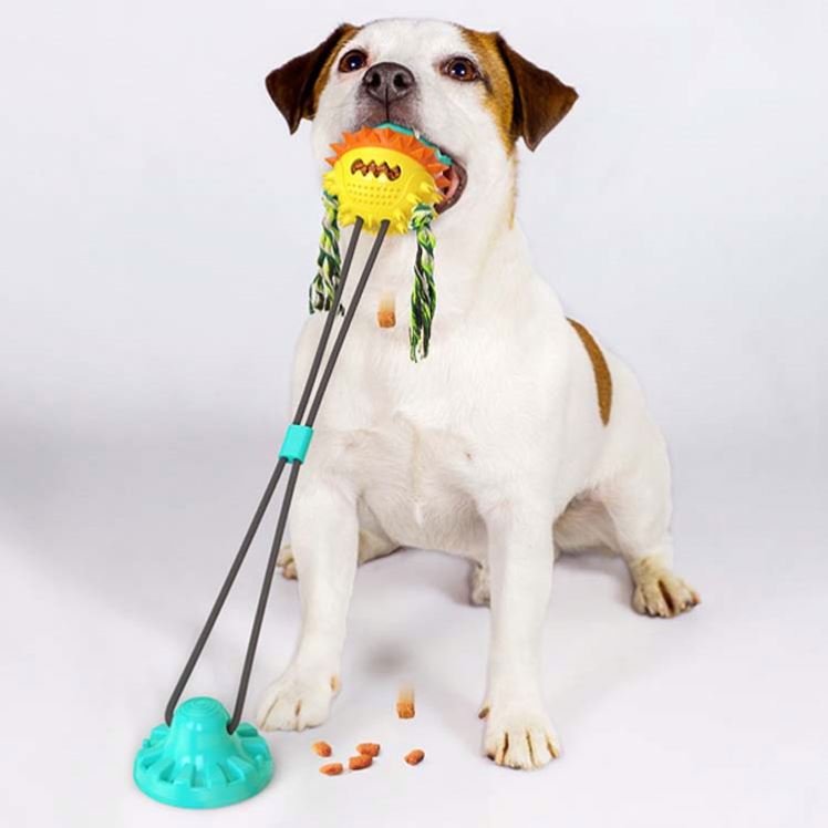 New Upgrade Dog Chew Play Toy Molar Bite Toys Pet Interactive Rope Suction Cup Ball Toy for Dogs
