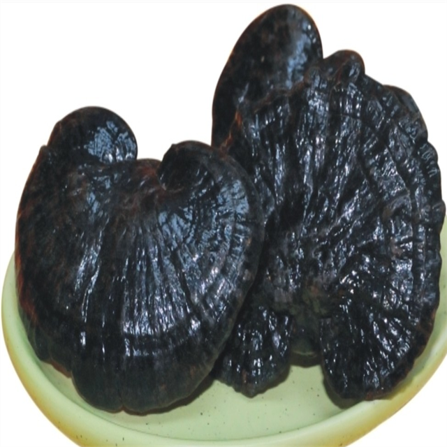 Подарочная упаковка Ling Zhi, сушеный гриб Renshi Ganoderma Lucidum