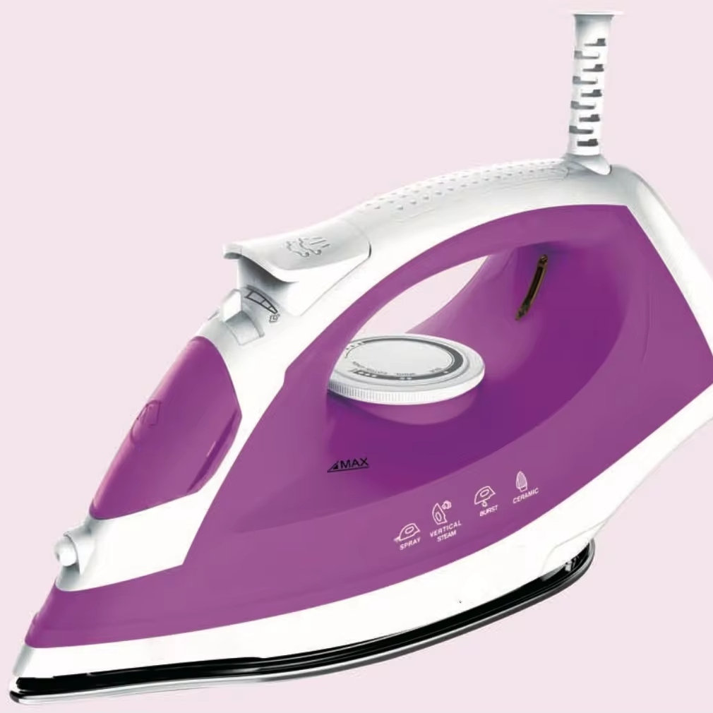 Portable Electric Hand Held Cloth Steamer Dry iron and Steam Iron