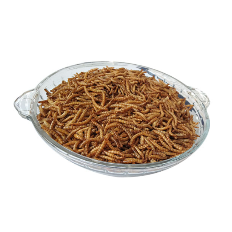 Wholesales OEM Natural Non GMO High Protein Wild Bird Chicken Treats Hamster Food Dried Mealworm