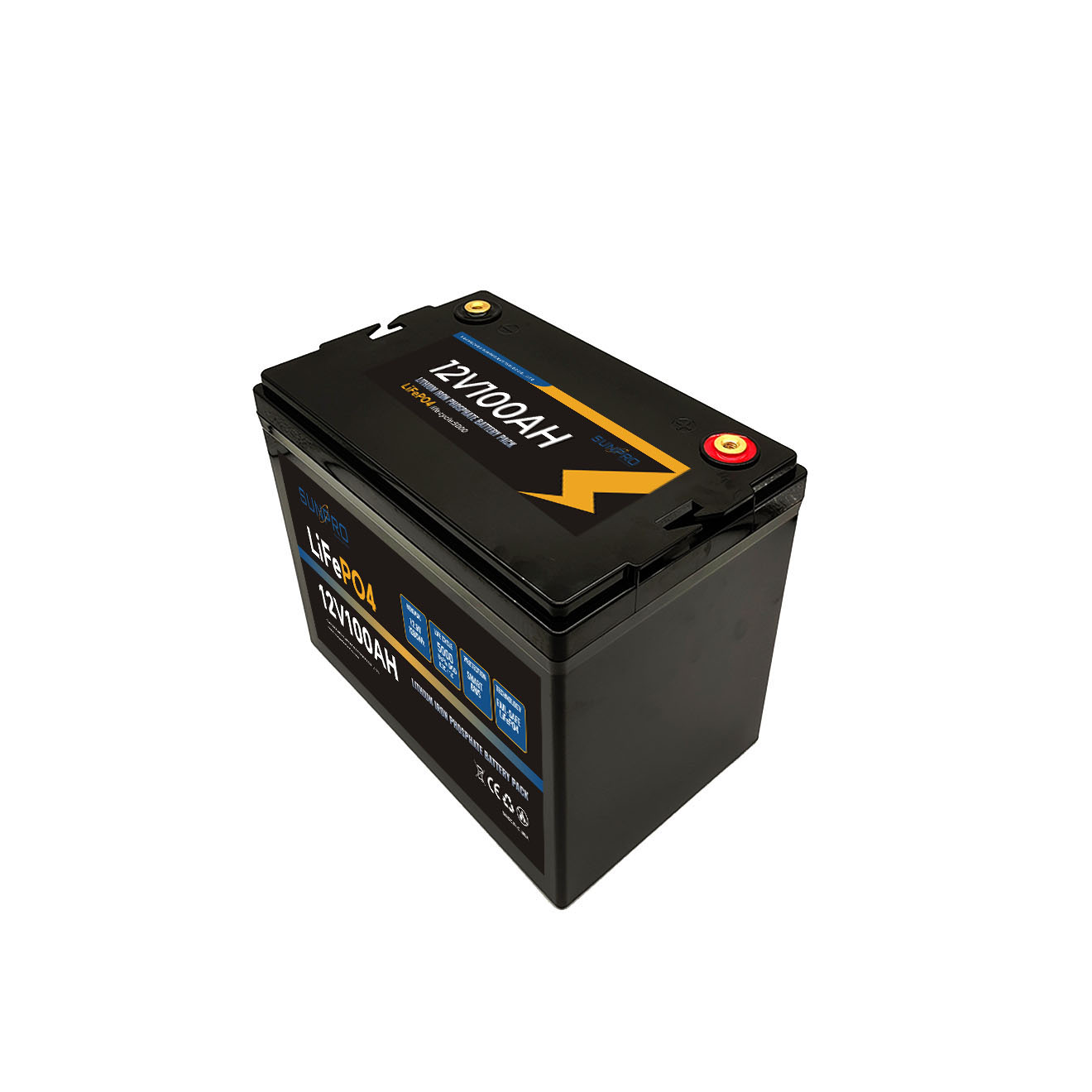 Lifepo4 Battery Smart BMS 12V100Ah Lithium Lifepo4 Battery Packs With BT Function