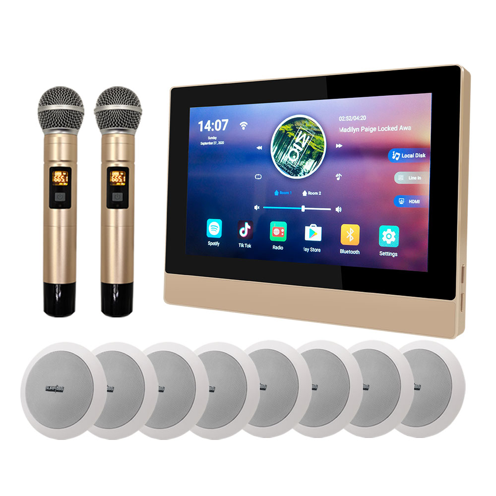 Сеть Wifi Hifi умный дом аудио караоке система мульти комната мульти зоны усилитель динамик и микрофон