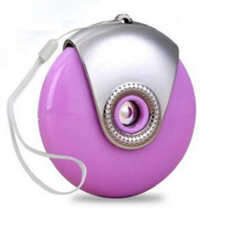 KAKUSAN Nano Technology Product Wholesale Nano Facial Steamer for Skin Care