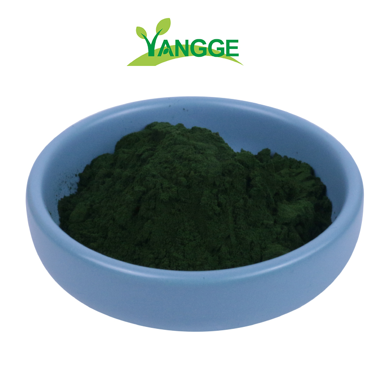 Pure organic Maltodextrin Spirulina algae Extract Spirolina Spirulina powder for sale 100 pure