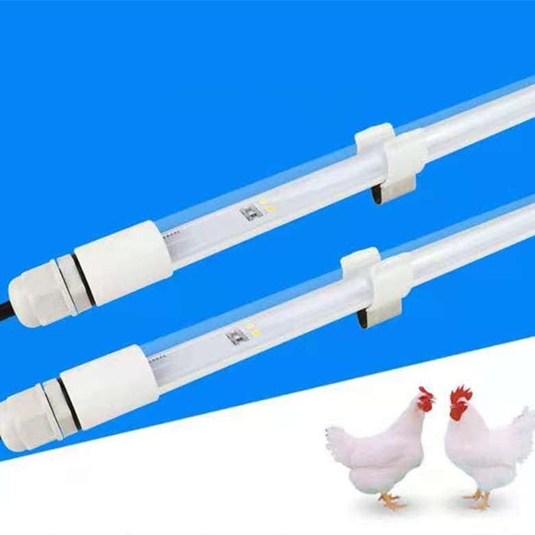 led tube light for poultry farm chicken farm anti-insect Flash-free fluorescent 48V led poultry Lights