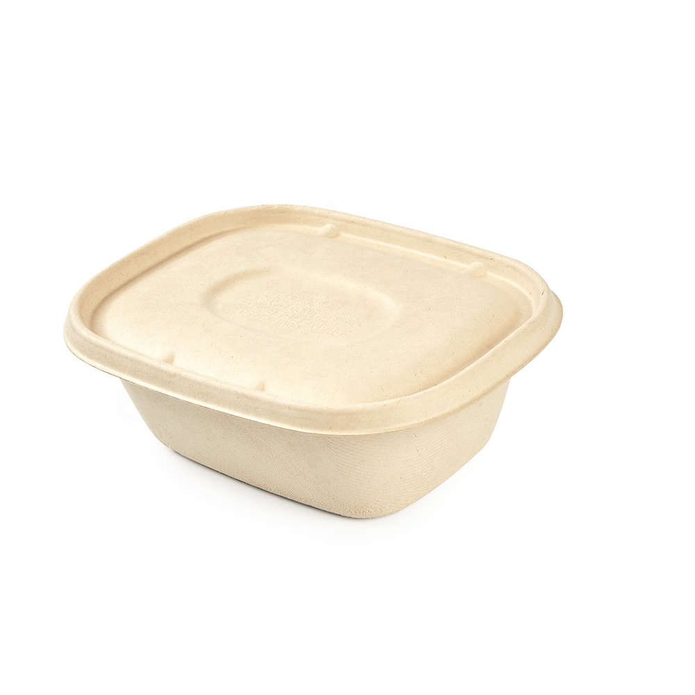 ecofriend disposable sugarcane bagasse bento box lunch box biodegradable for fast food salad meal