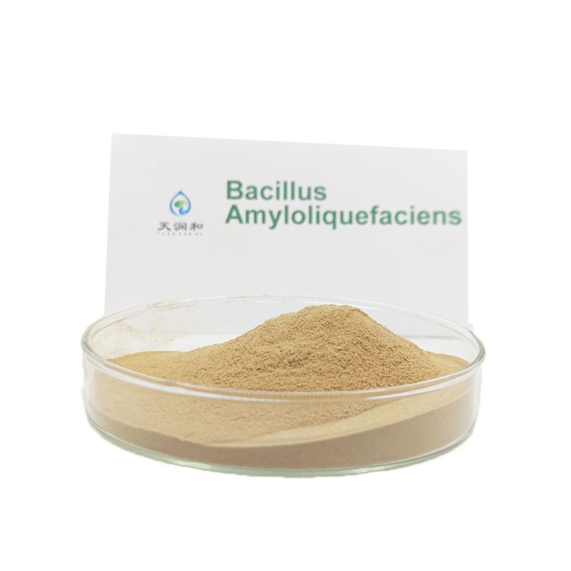 Микробное составное удобрение bacillus amyloliquefaciens