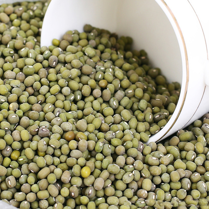 hot sale good quality food use green mung bean Low Price