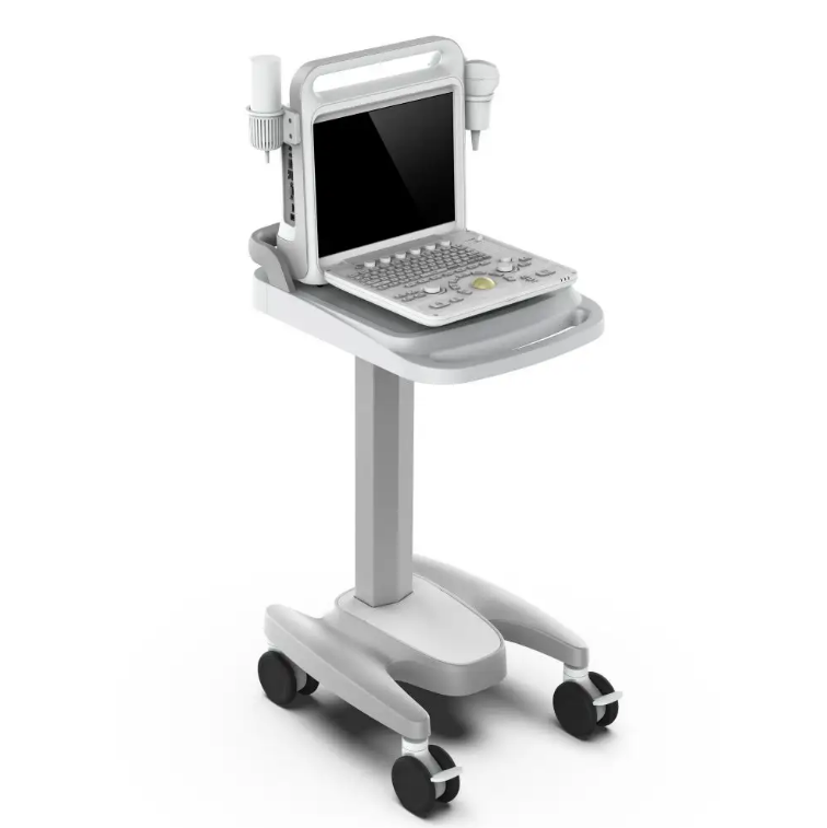 Portable 15 Inch 4d Volumetric Transducer Color Doppler Ultrasound Diagnostic System E60