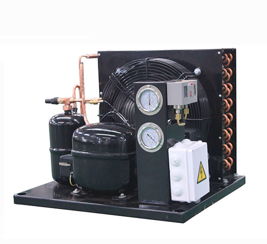 Внутренний конденсаторный блок 2,75 HP R404A, 220 В/1ph