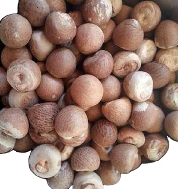 Премиум ARECA NUT/ BETEL NUT для продажи