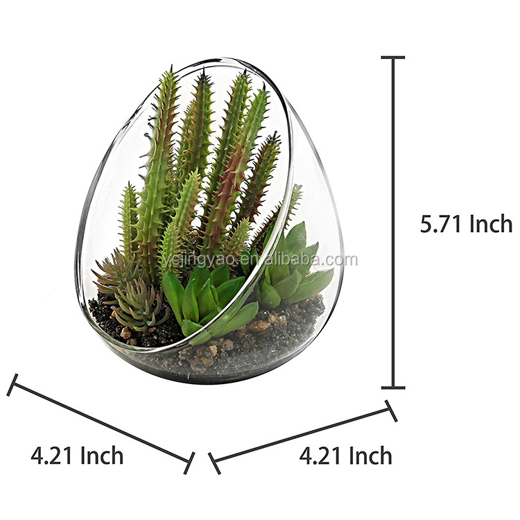 handblown decorative borosilicate glass bowl terrarium