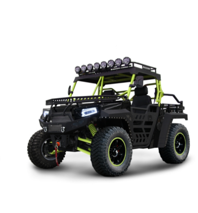 Китай взрослых Электрический старт UTV dune Багги 1000cc
