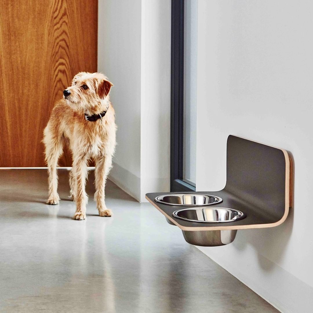 Special Floating Shelf Elevated Wall Mounted Dog Bowl stand for pet