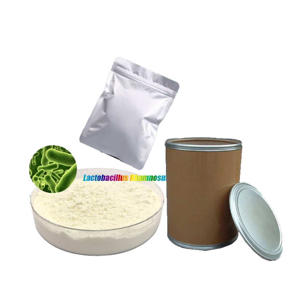 Freeze dried probiotics powder of Lactobacillus rhamnosus and Lacticaseibacillus rhamnosus for fermented dairy products