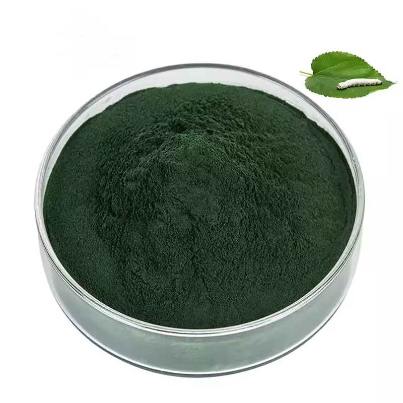 Top Quality Whosale Natural Warehouse Sodium Magnesium Chlorophyllin Copper Powder Chlorophyll