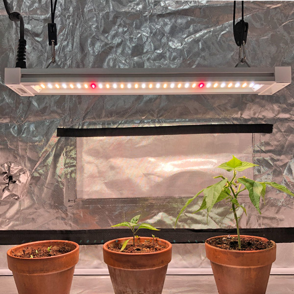 medical plant lighting plant lm301h led grow light1000w led grow light