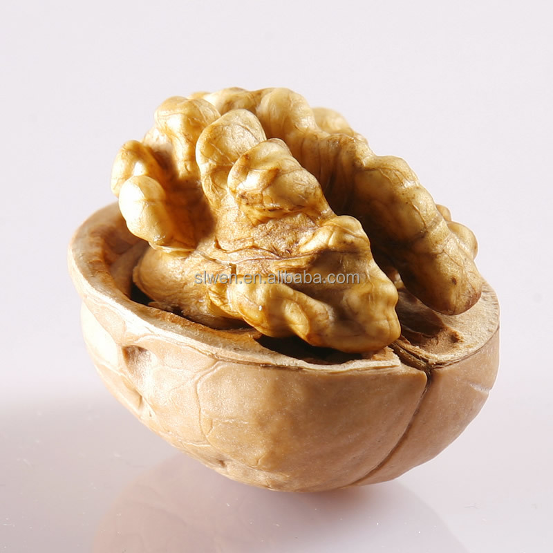 Wholesale Customized Good Quality Dried China Walnut in Shell
