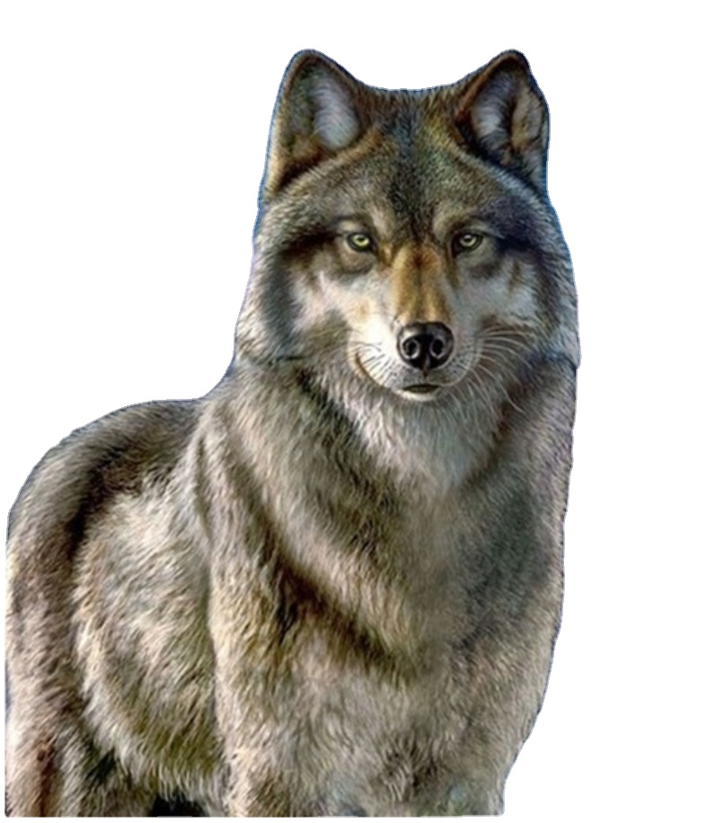 Wolf DIY 5D Diamond Painting Full Round Rhinestone Paintings Animal Diamond Embroidery Cross Stitch Mosaic Home Decor