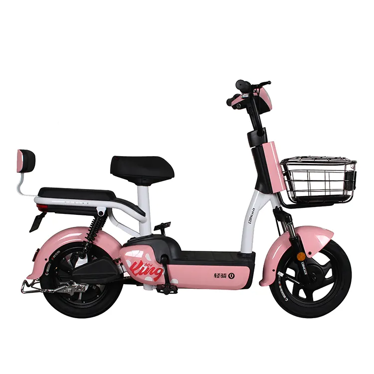 VIMODE Cheap Delivery Adult 20 Inch 750w Electric Bicycle Wholesale For Men