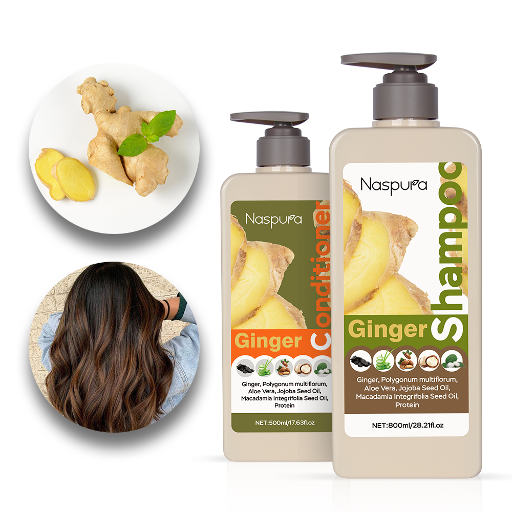naspura prevent hair from losing hair strengthening plant extract Non irritation anti-hair loss ginger shampoo for man and woman