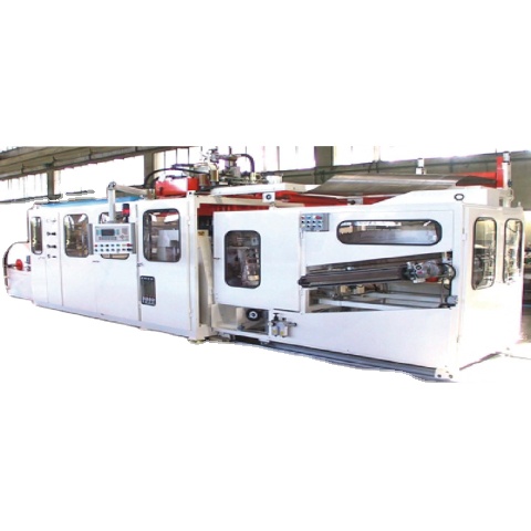 Premium Italian Machinery For Thermoforming Machine For Cups Plates Tubs - 30TM
