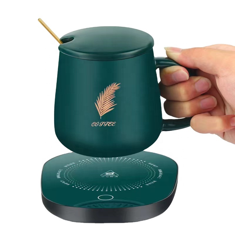 Thermostatic Electric Heating Coffee Cup, Self Heating Ceramic Mug, 110V Temperature Control