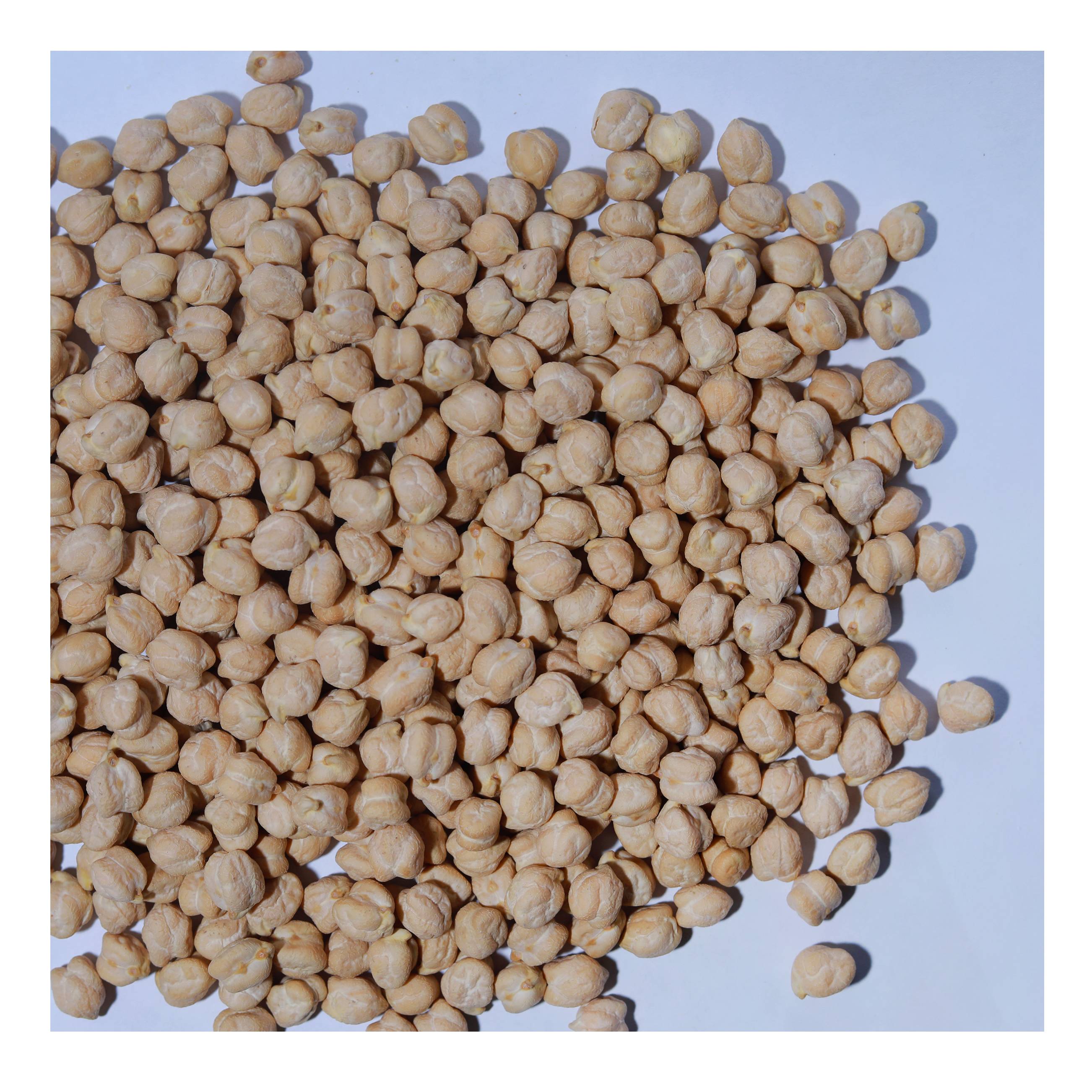 Natural organic nutritious food raw chickpeas 7mm 8mm 9mm 10 mm 11mm 12mm