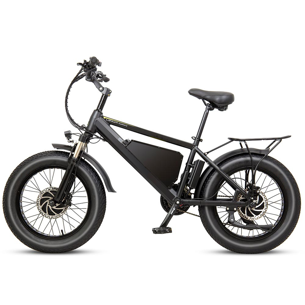 OEM 2 person bike electric 48v 60v fat tier 1000w electric dirt bike 750w e bicycle