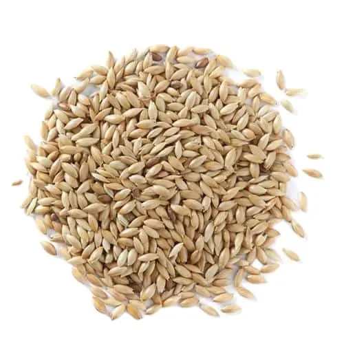 Wholesale high quality Coarse grain Rolled Oats High Quality Bulk Rolled Oats Healthy Cereal Export Protein Cereal