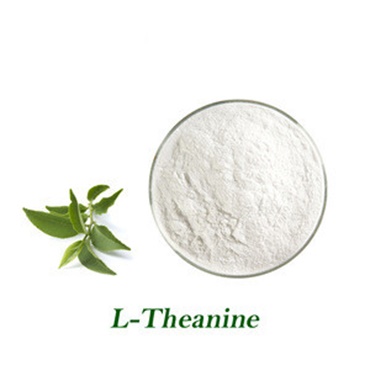 Anti-oxidant 99% Green Tea Extract L-Theanine powder 3081-61-6