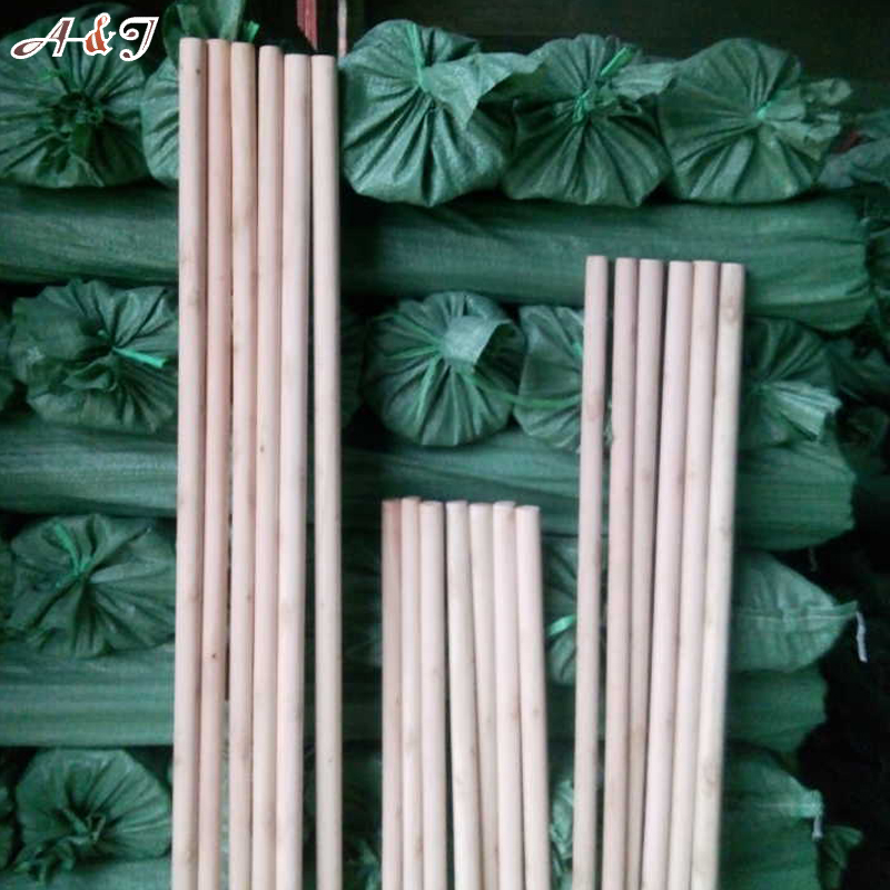 Modern design natural broom handle with good quality