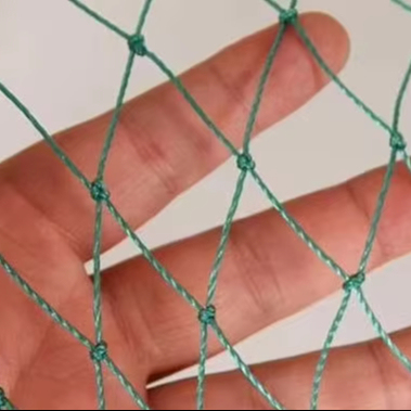 2024 hot sale Garden Netting Plants Barrier Protect Plants Plastic Anti Bird Protection Net Netiing