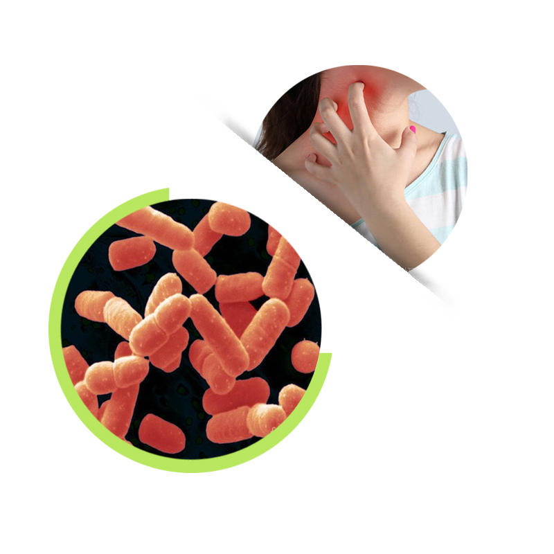 Поставка Lactobacillus salivarius, lactobacillus пробиотики порошок для здоровья дополнение