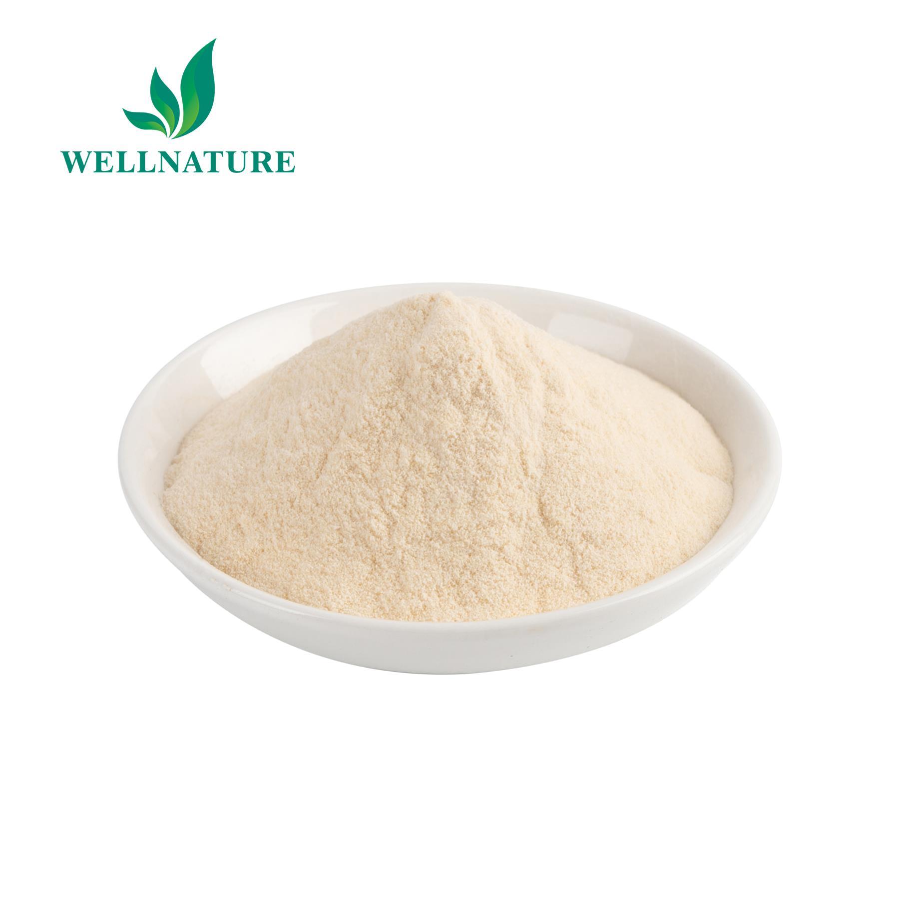 Hot sale aloe vera gel freeze dried powder 200:1