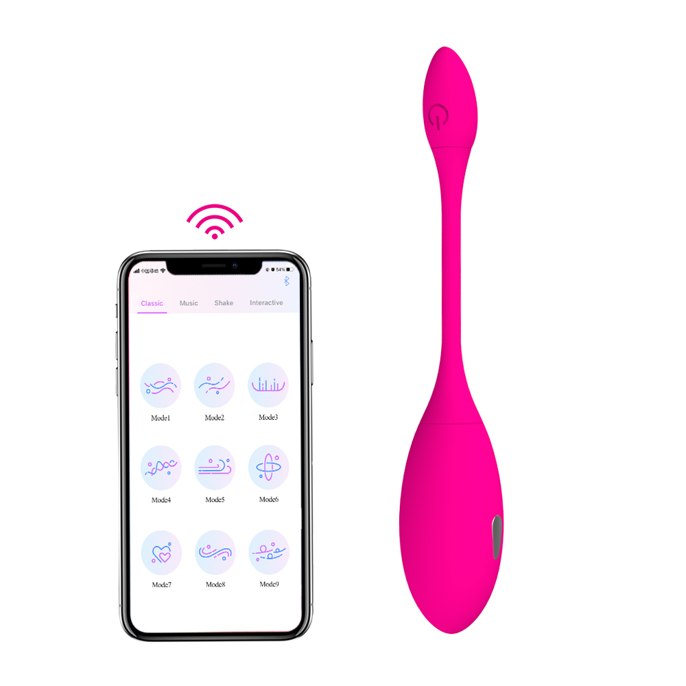 Niusida Electric Magnetic Charging App Controlled Vibrator 9 Vibration Frequencies Egg Masturbator Adult Toys