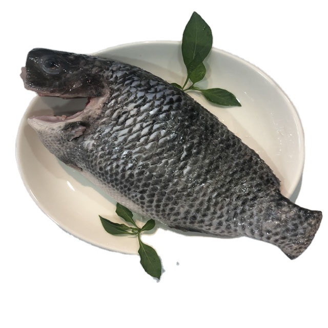 Best Selling Natural Whole Round tilapia fish With Weight 10kg And Shelf Life 24 Months made From Vietnam