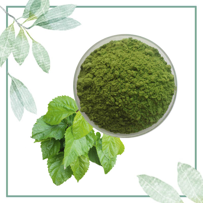 Hot Sale Natural Mulberry Extract Bulk Chlorophyll Powder with Best Price