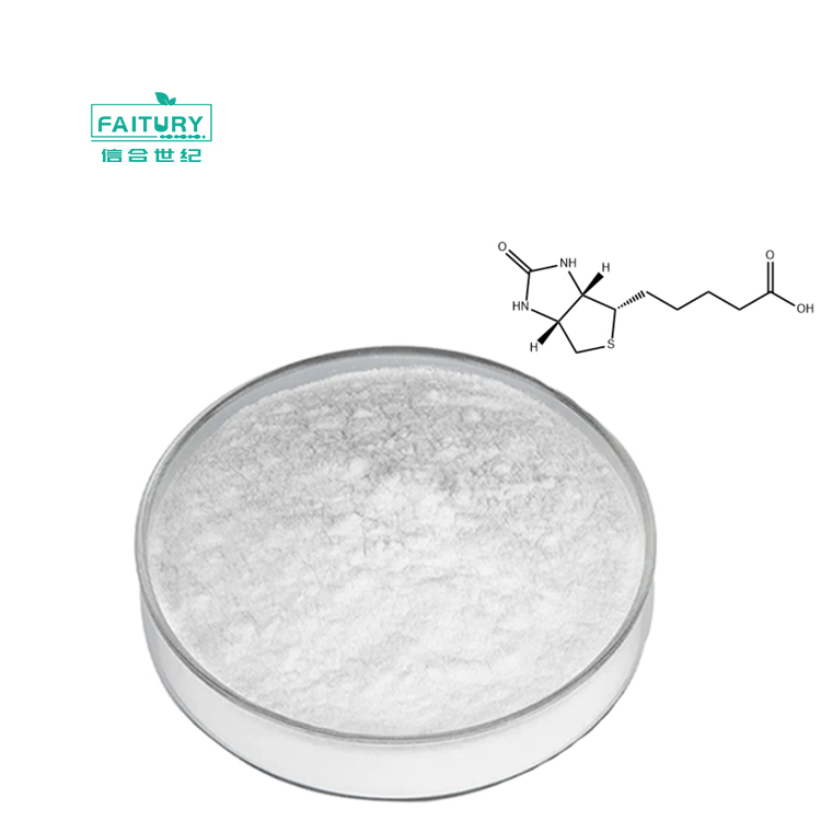 High Quality L Glutamine Food Grade L-Glutamine Powder