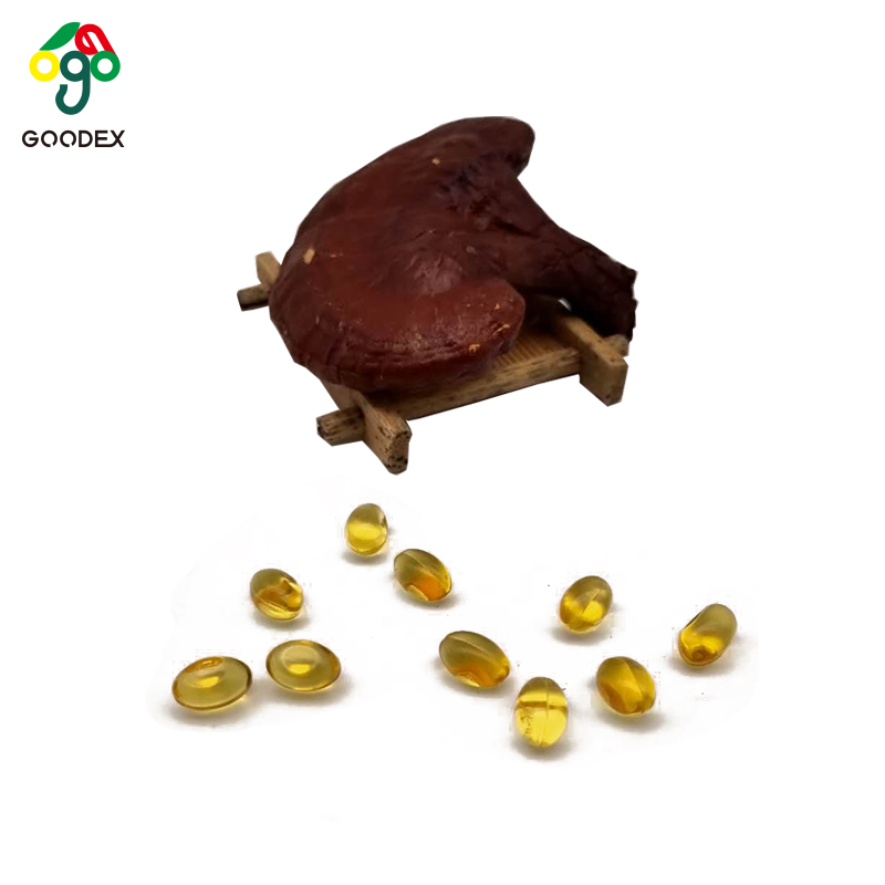 Глюминесцентное растительное масло sofegel , lingzhi softgel, reishi softgel